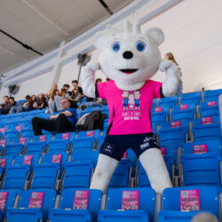 Mecz 26.02.2026 (141 z 163)